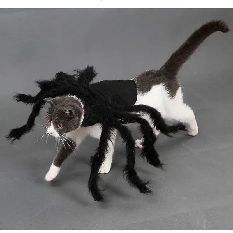 Costume Halloween per Cani e Gatti con Ragno