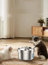 Fontanella acqua per gatti 2L automatica in PET con filtro