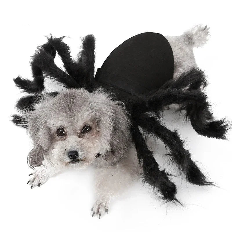 Costume Halloween per Cani e Gatti con Ragno