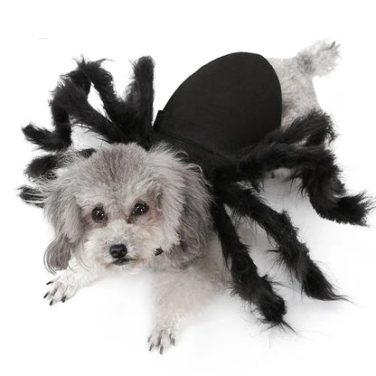 Costume Halloween per Cani e Gatti con Ragno