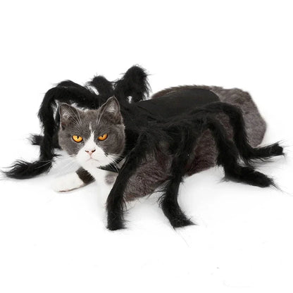 Costume Halloween per Cani e Gatti con Ragno