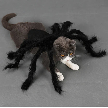 Costume Halloween per Cani e Gatti con Ragno