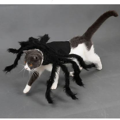 Costume Halloween per Cani e Gatti con Ragno